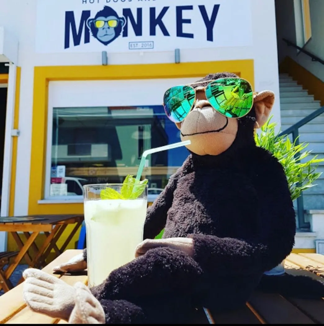 MONKEY • Hot Dogs And Friends