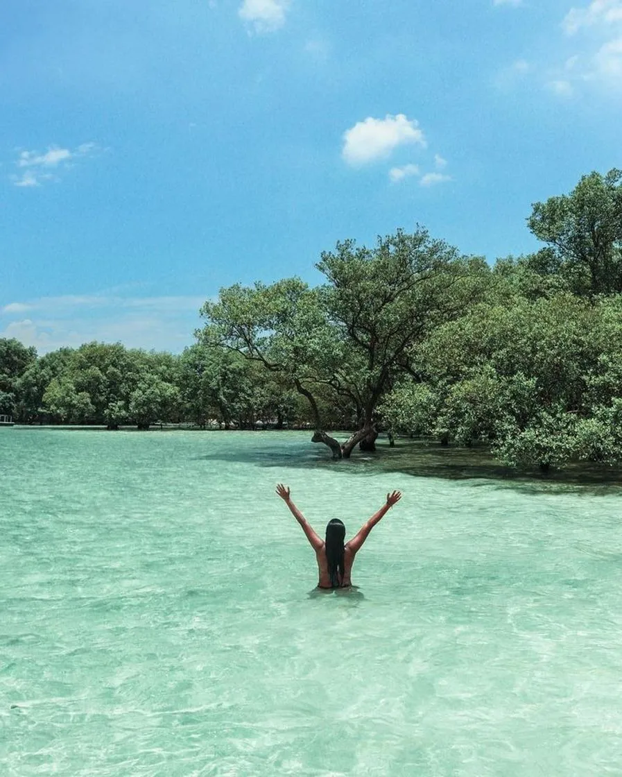 Ilha de Itaparica