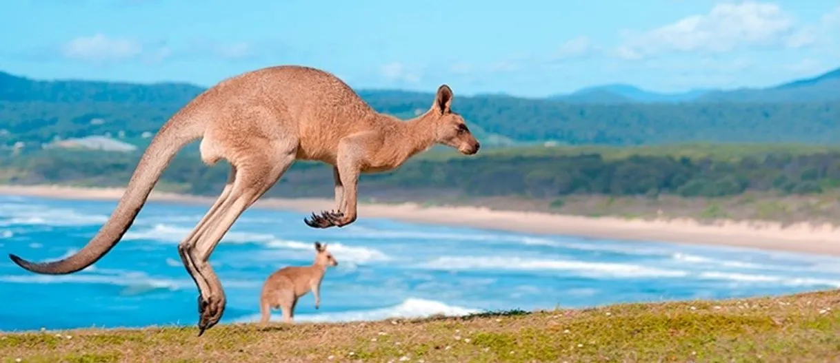 Kangaroo Island