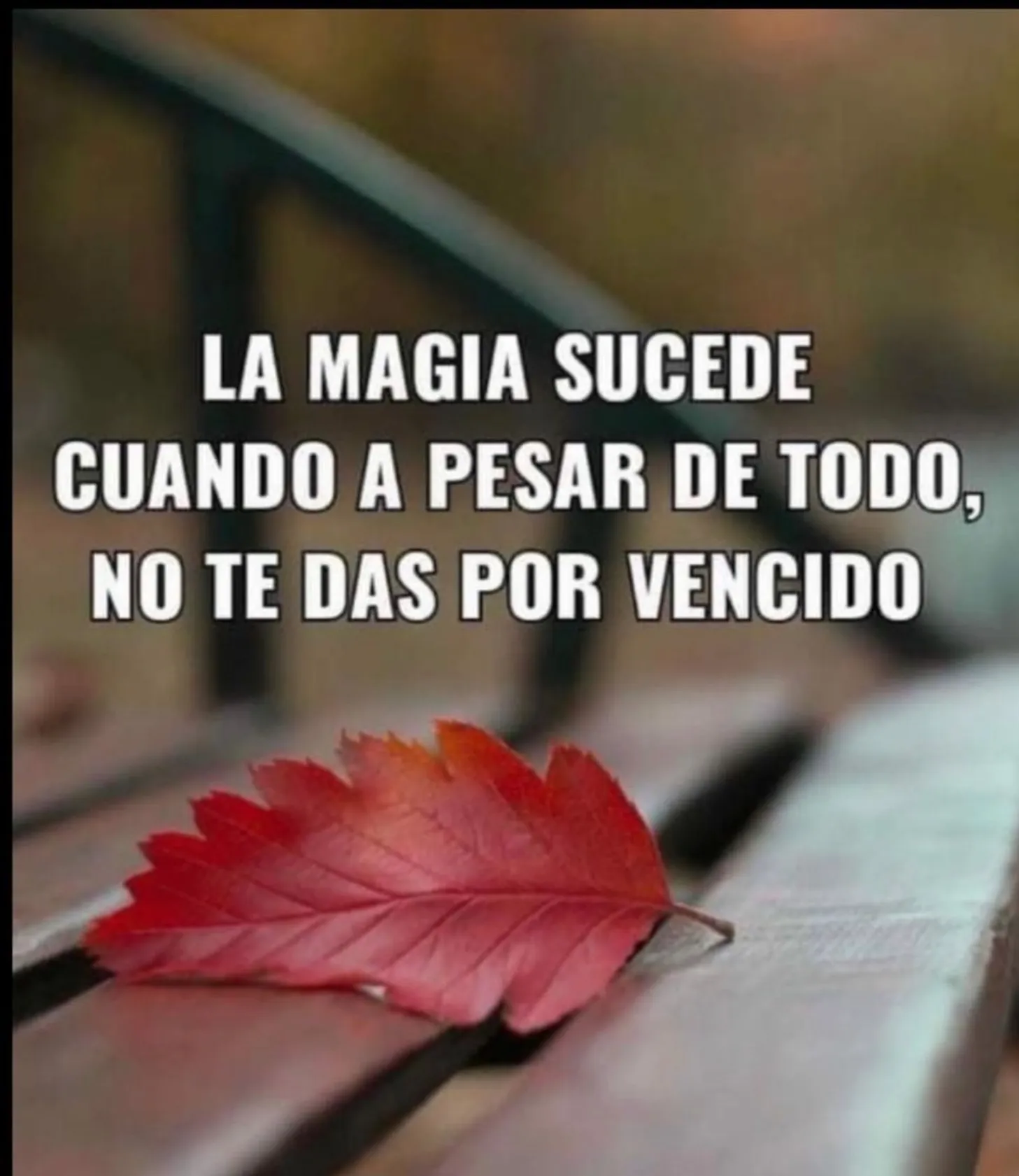 Será