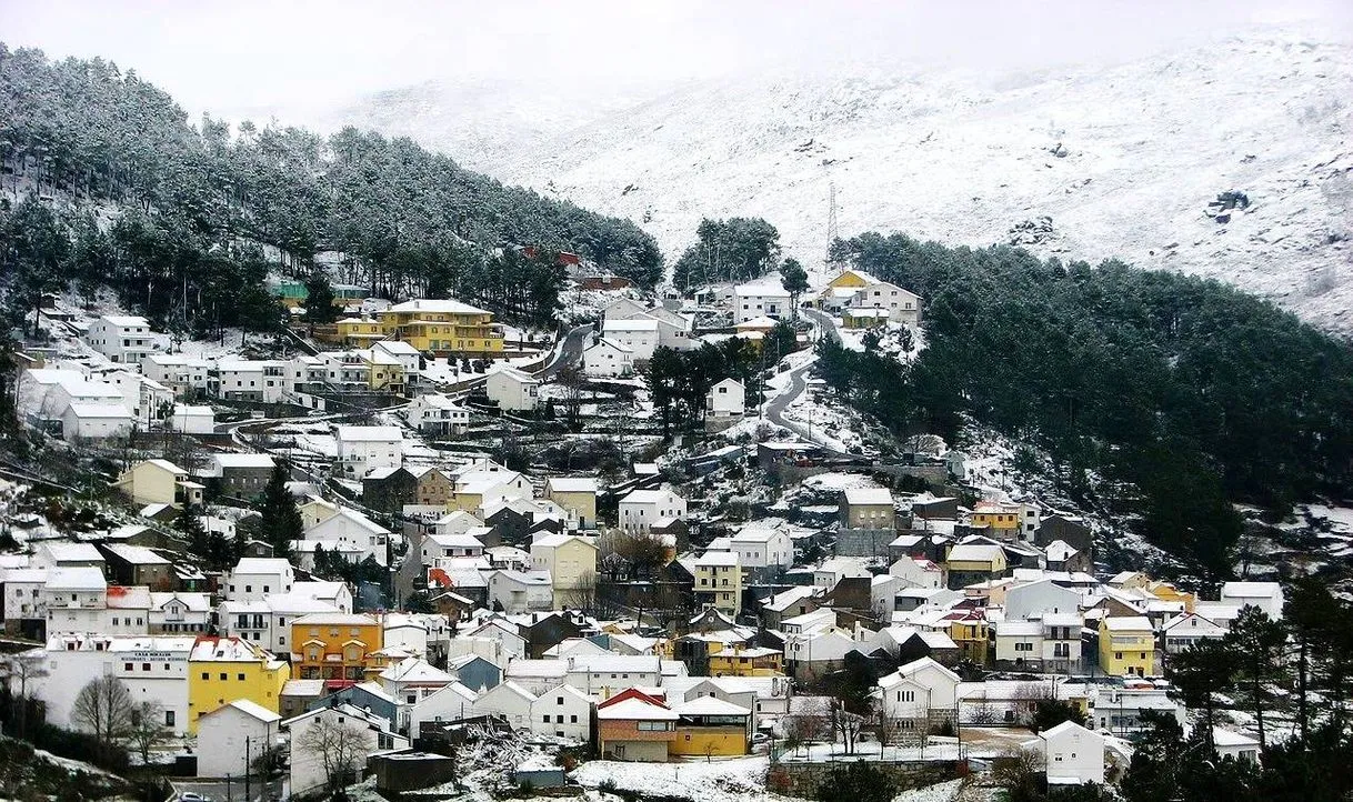 Sabugueiro