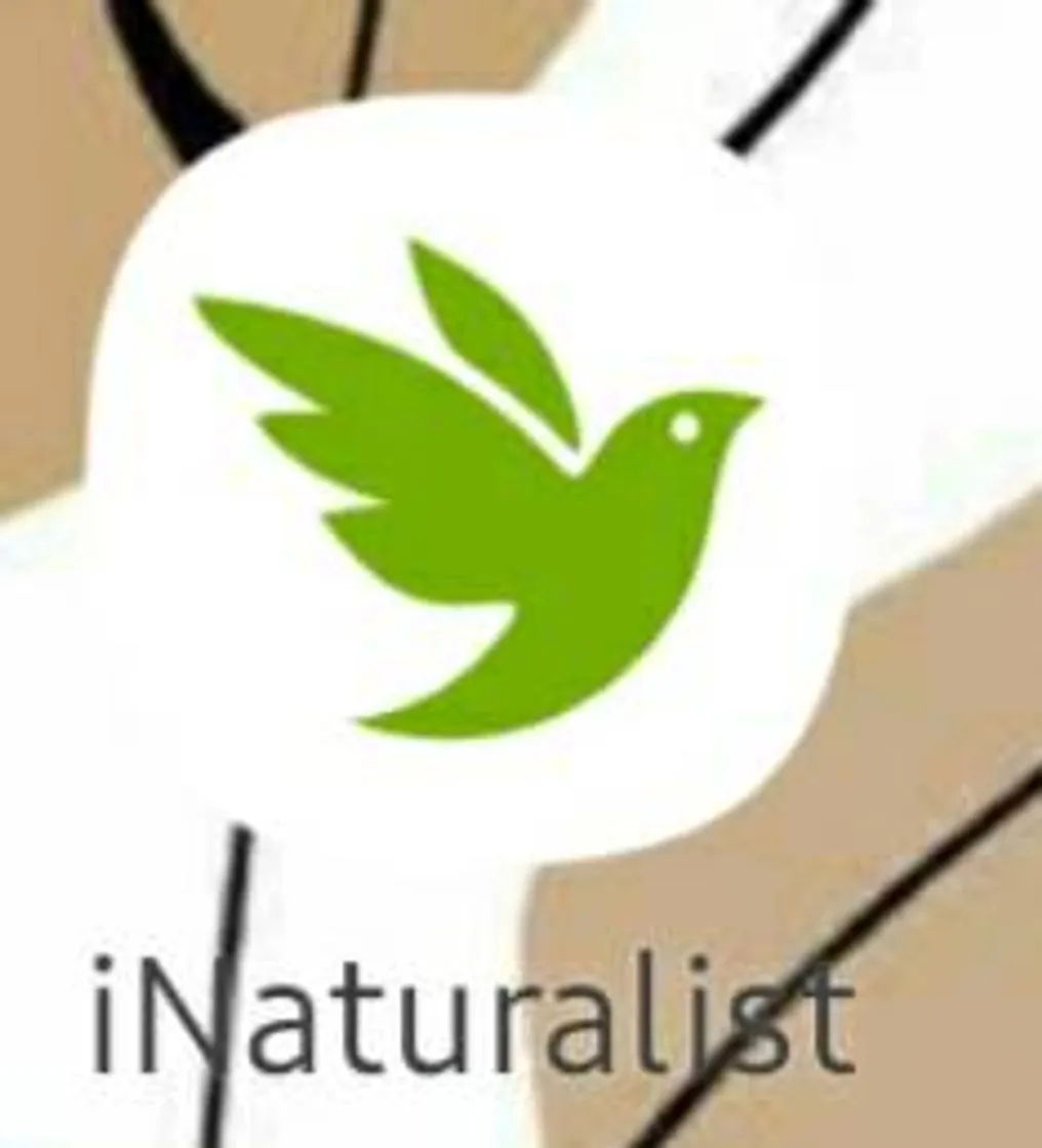 iNaturalist - Apps on Google Play