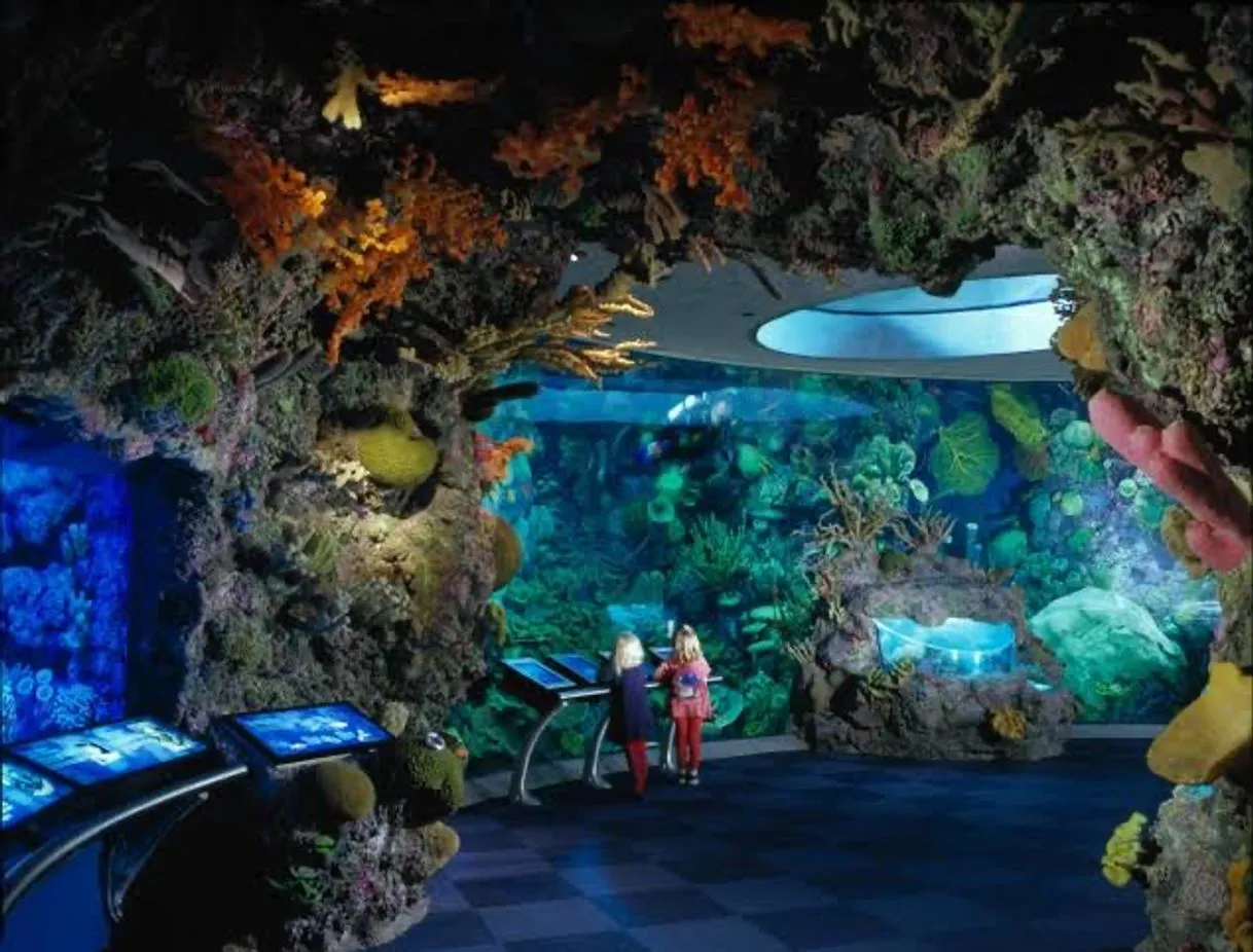 Shedd Aquarium