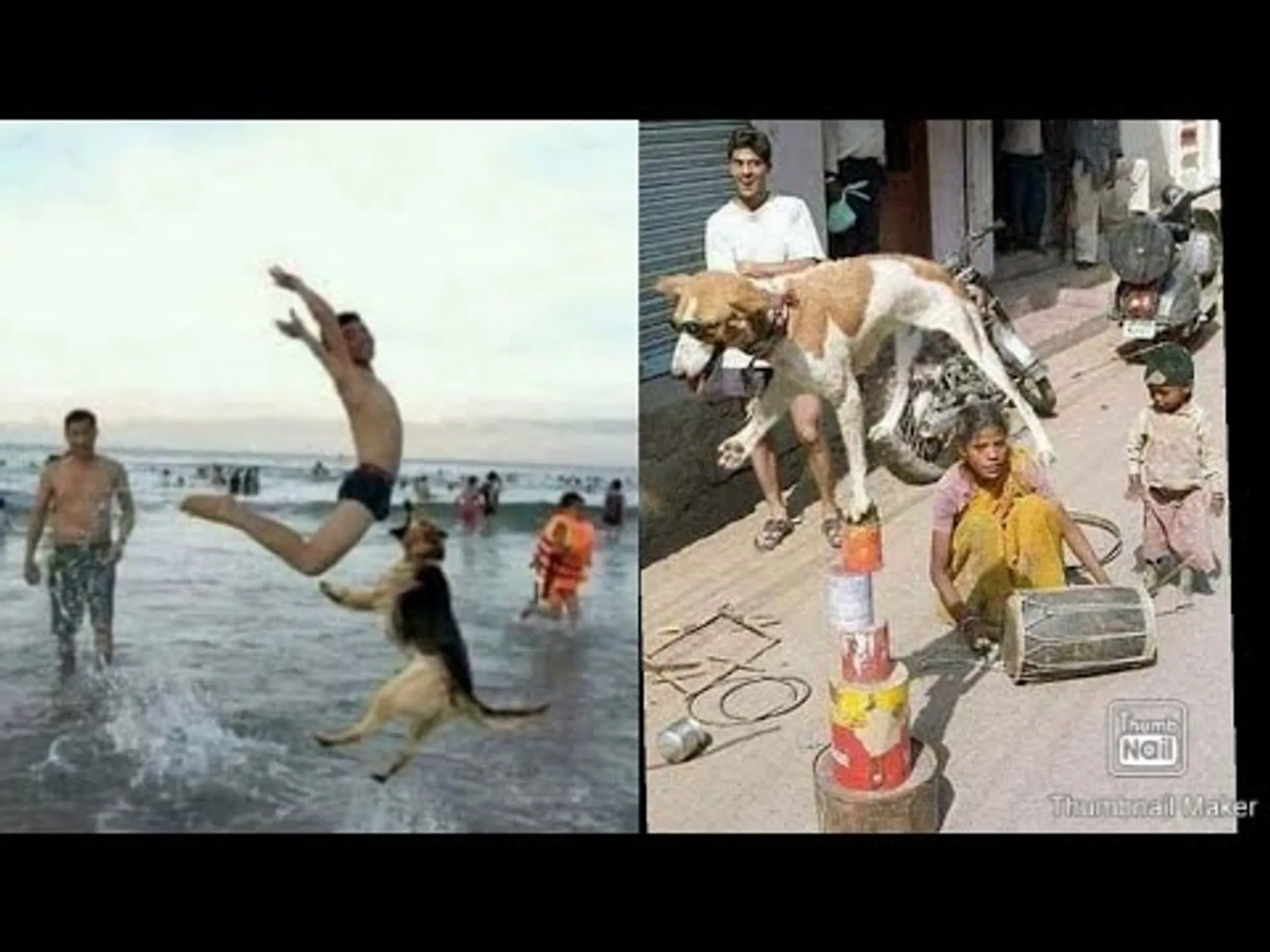 Tente não rir. Vídeos engraçados que marcaram o ano, de pessoas ...