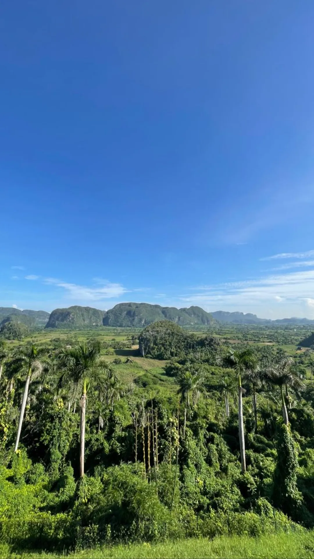 Viñales