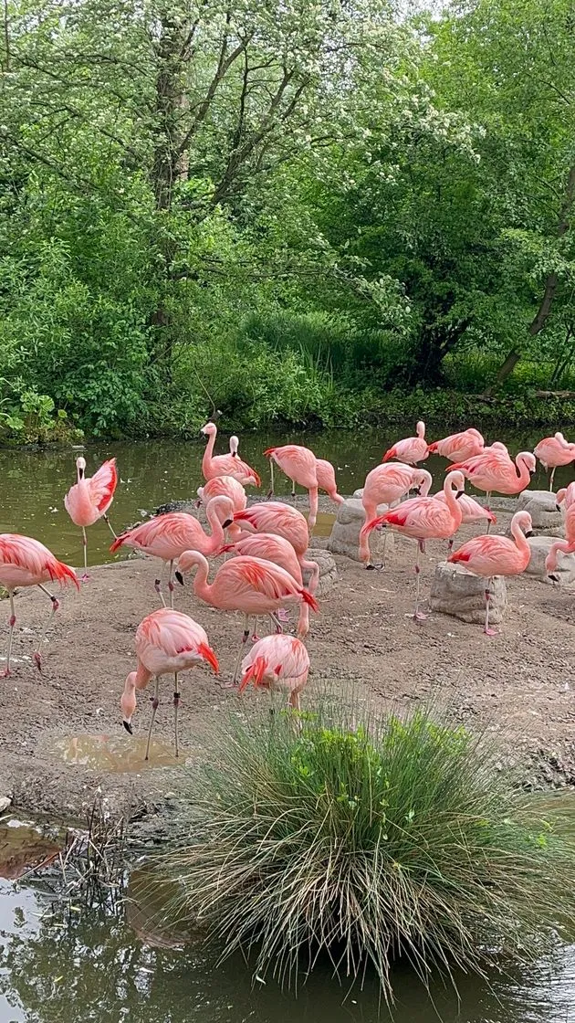 Zoo Zürich