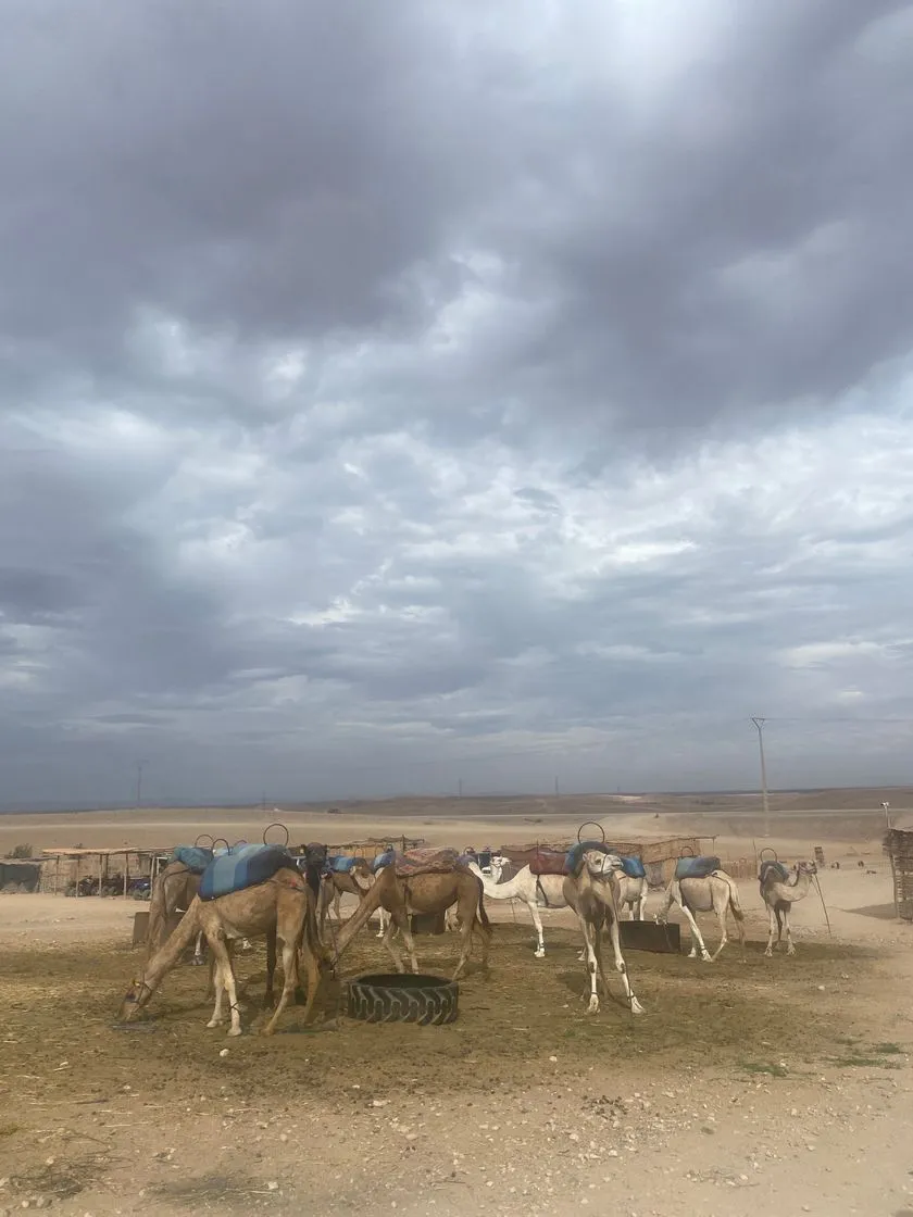 Marrakech