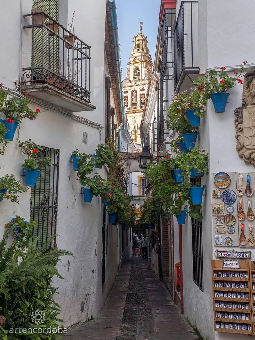 Calleja de las Flores