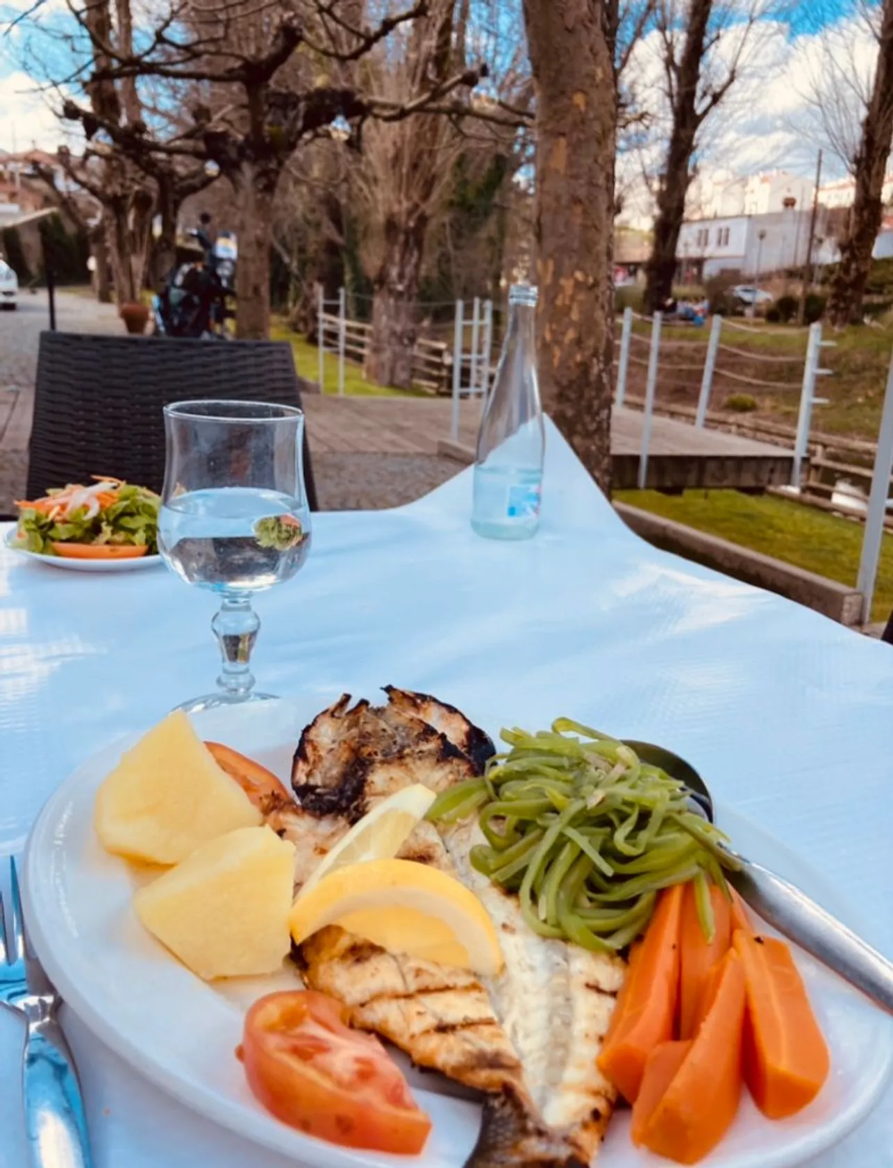 Sever do Vouga