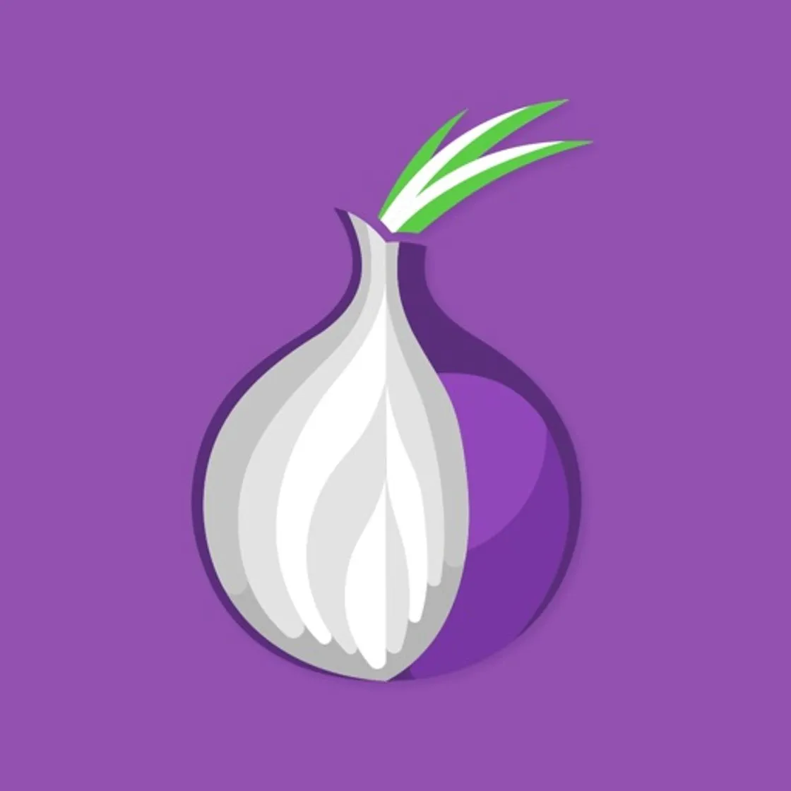 TOR Browser Private Web + VPN