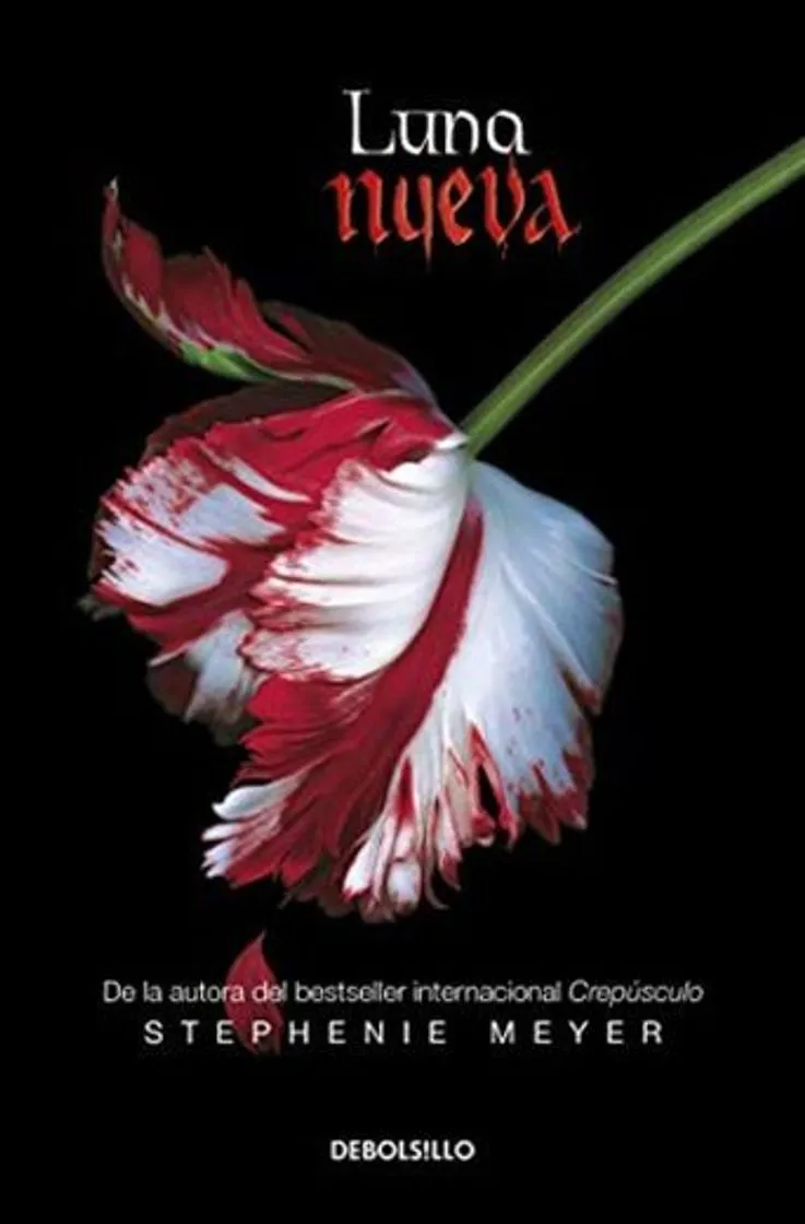 Luna nueva (novela)