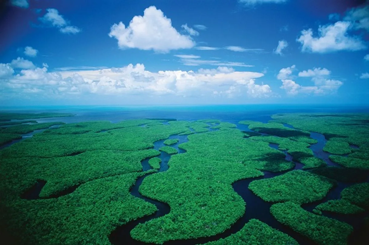 Parque Nacional de los Everglades