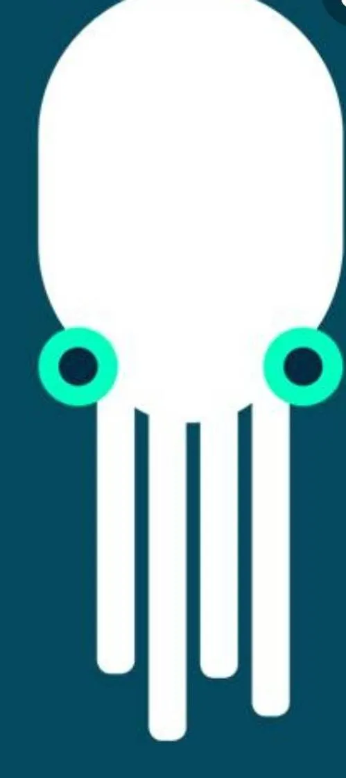 Squid