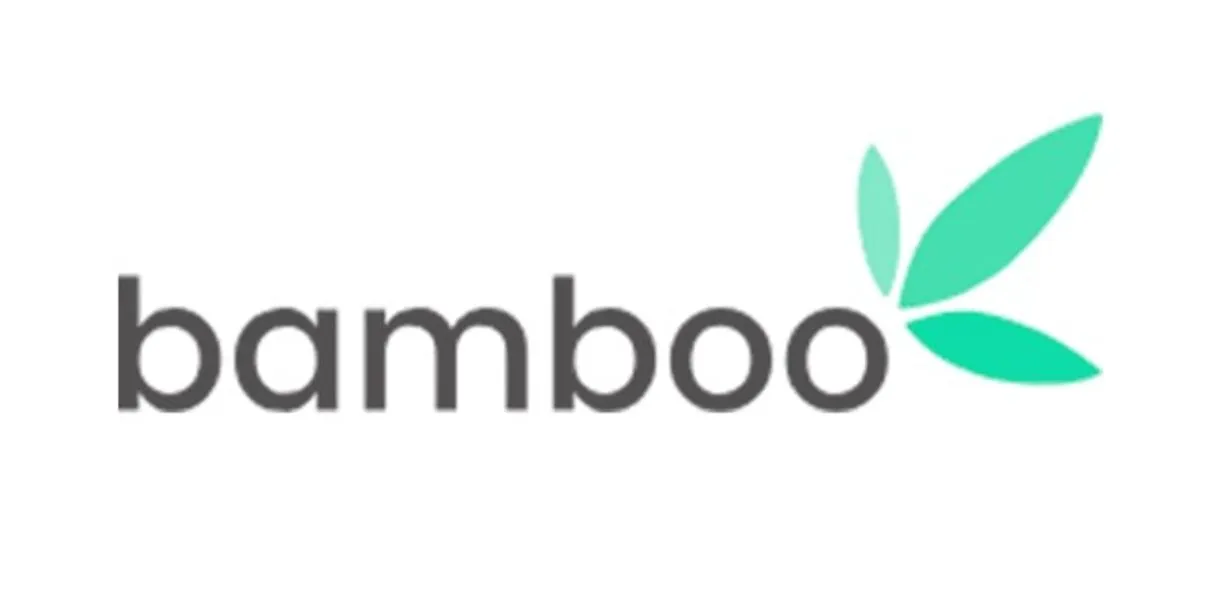 Bamboo
