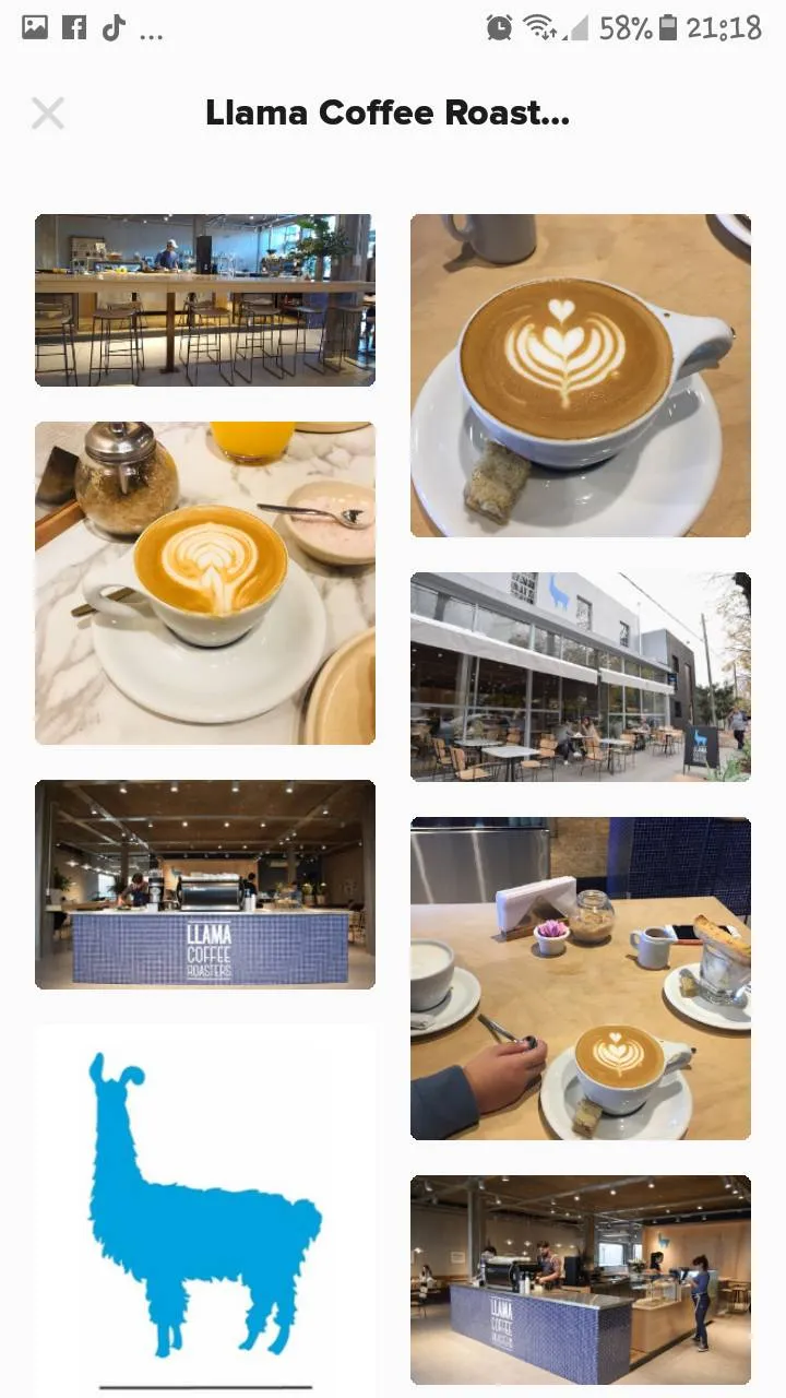Llama Coffee Roasters