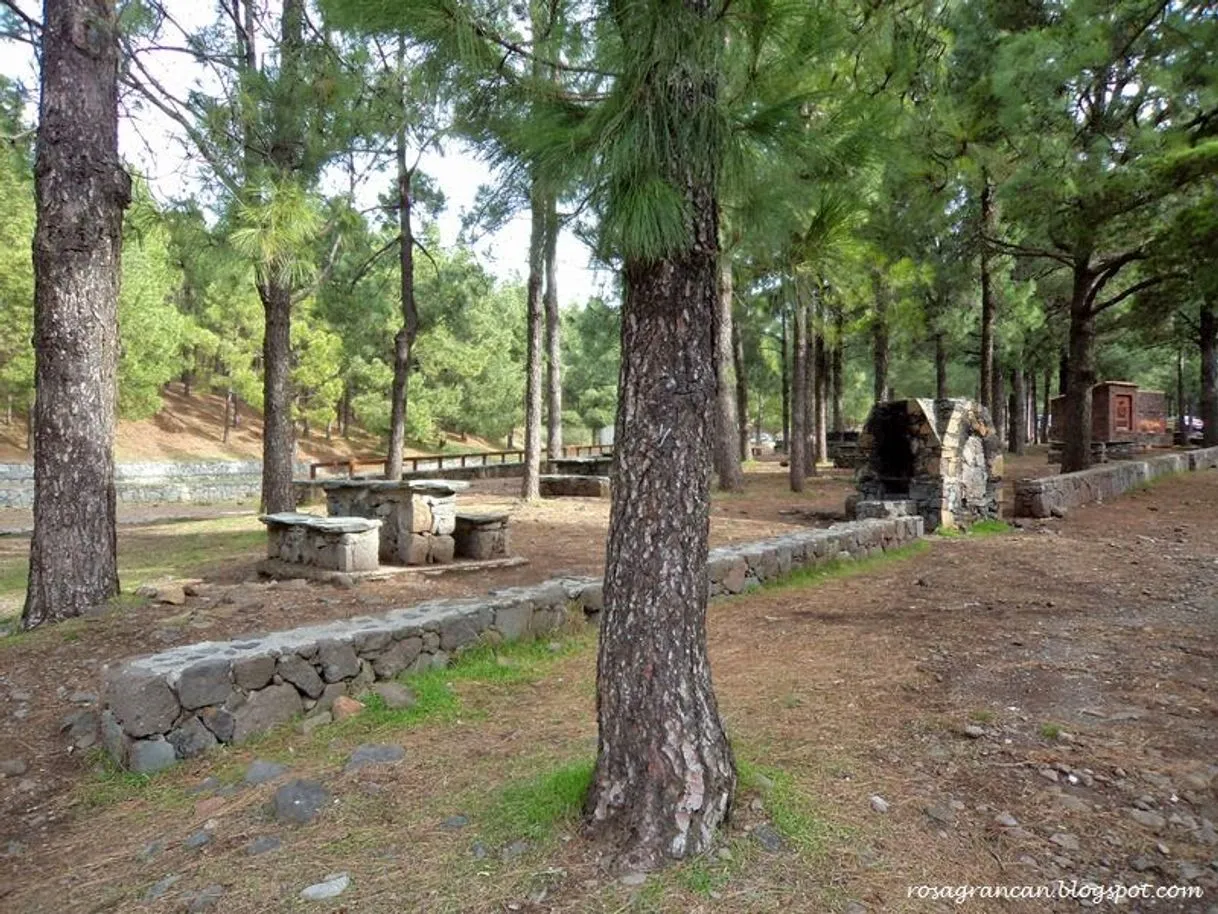 Llanos De La Pez