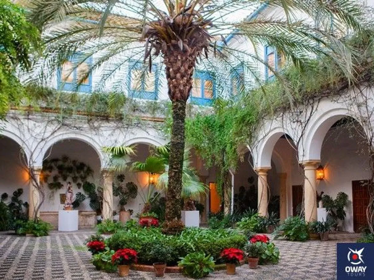 Palacio de Viana