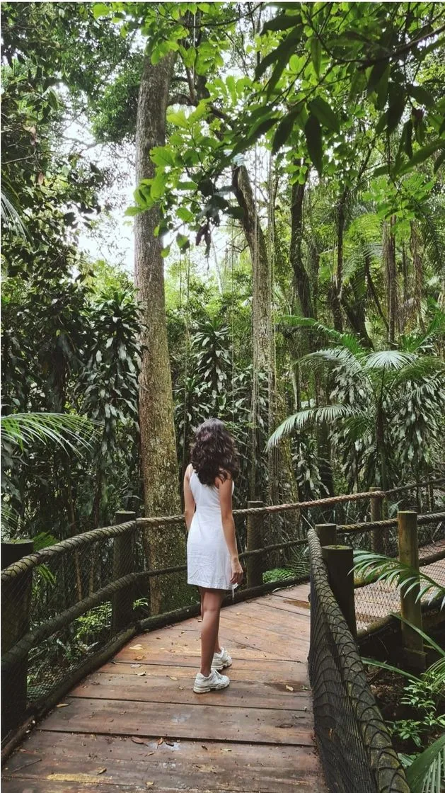 Jardim Botânico