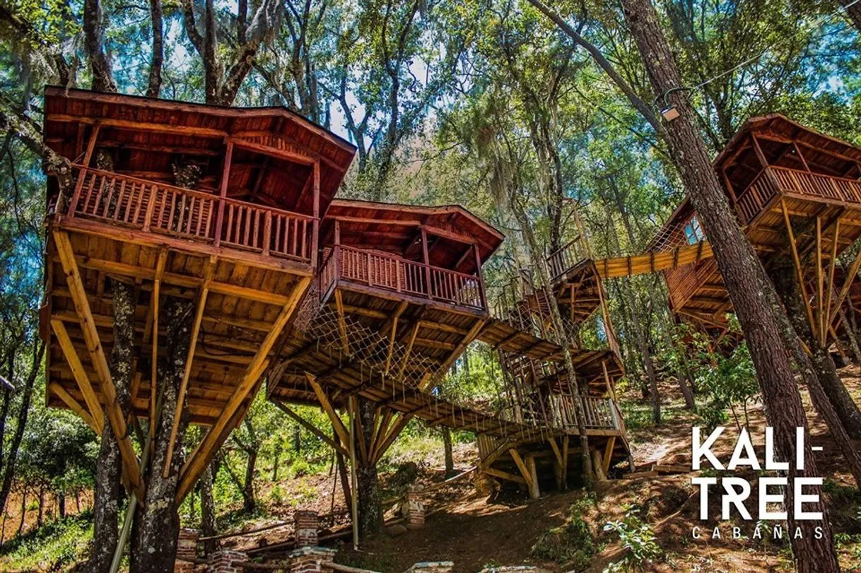 Kali Tree Cabañas