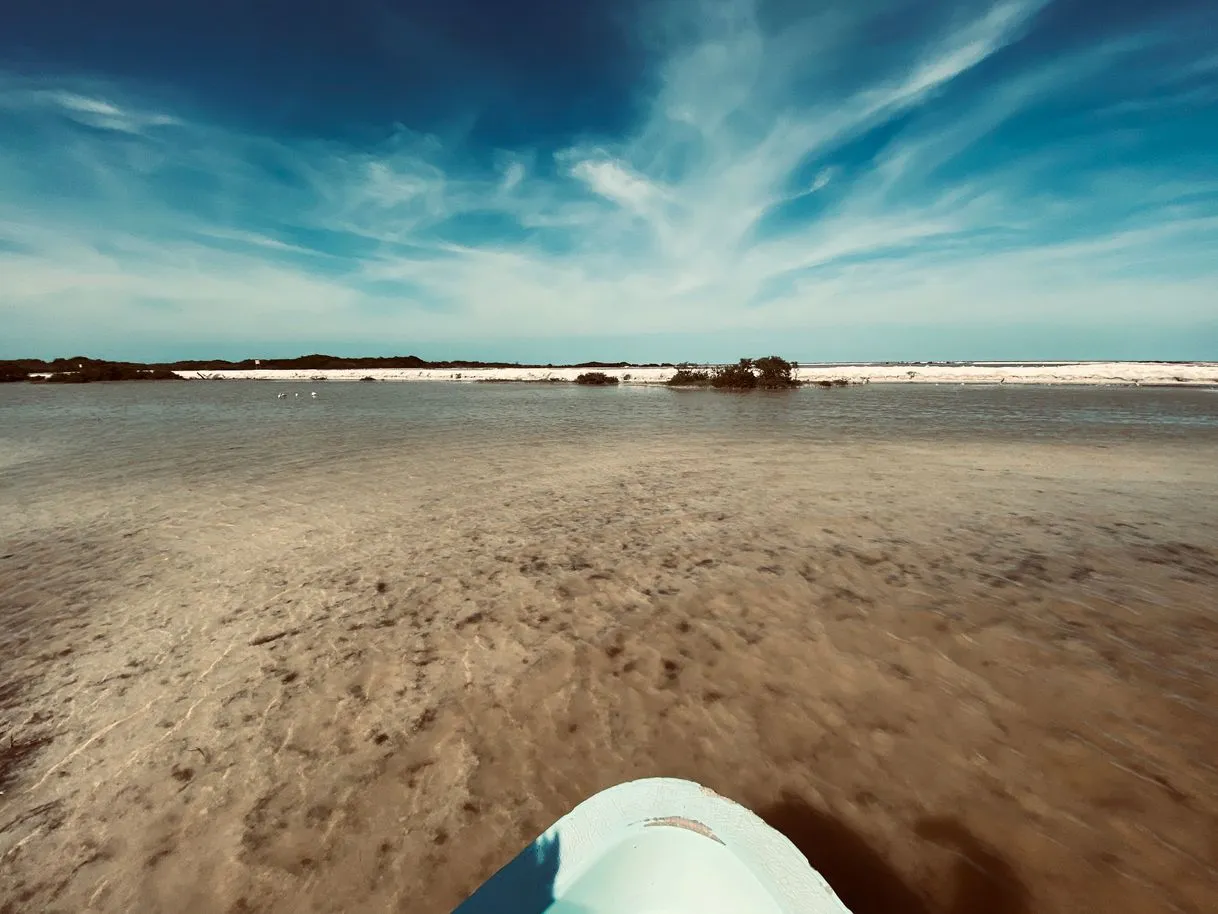 Río Lagartos
