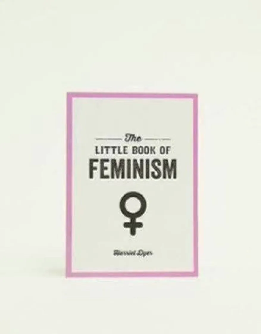 O livro do feminismo