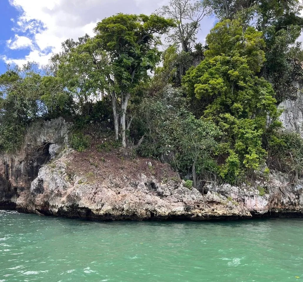Samaná