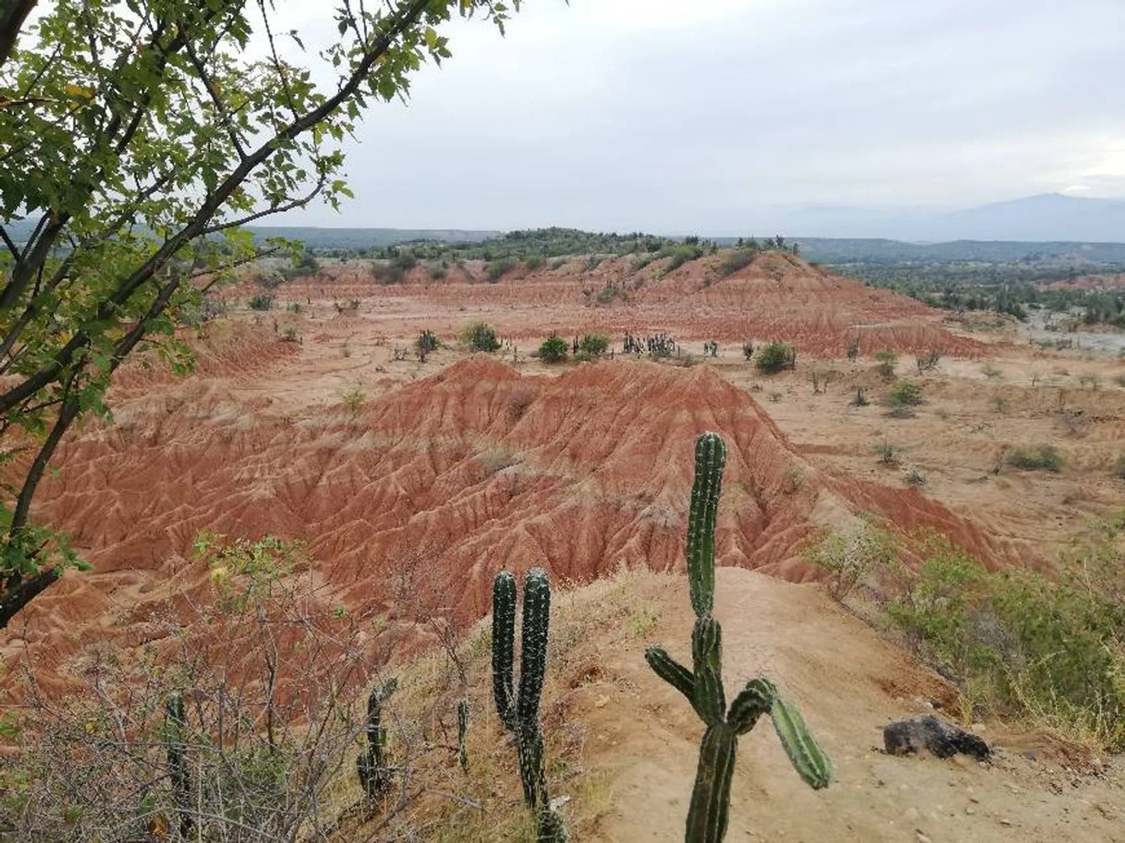 Desierto de la Tatacoa