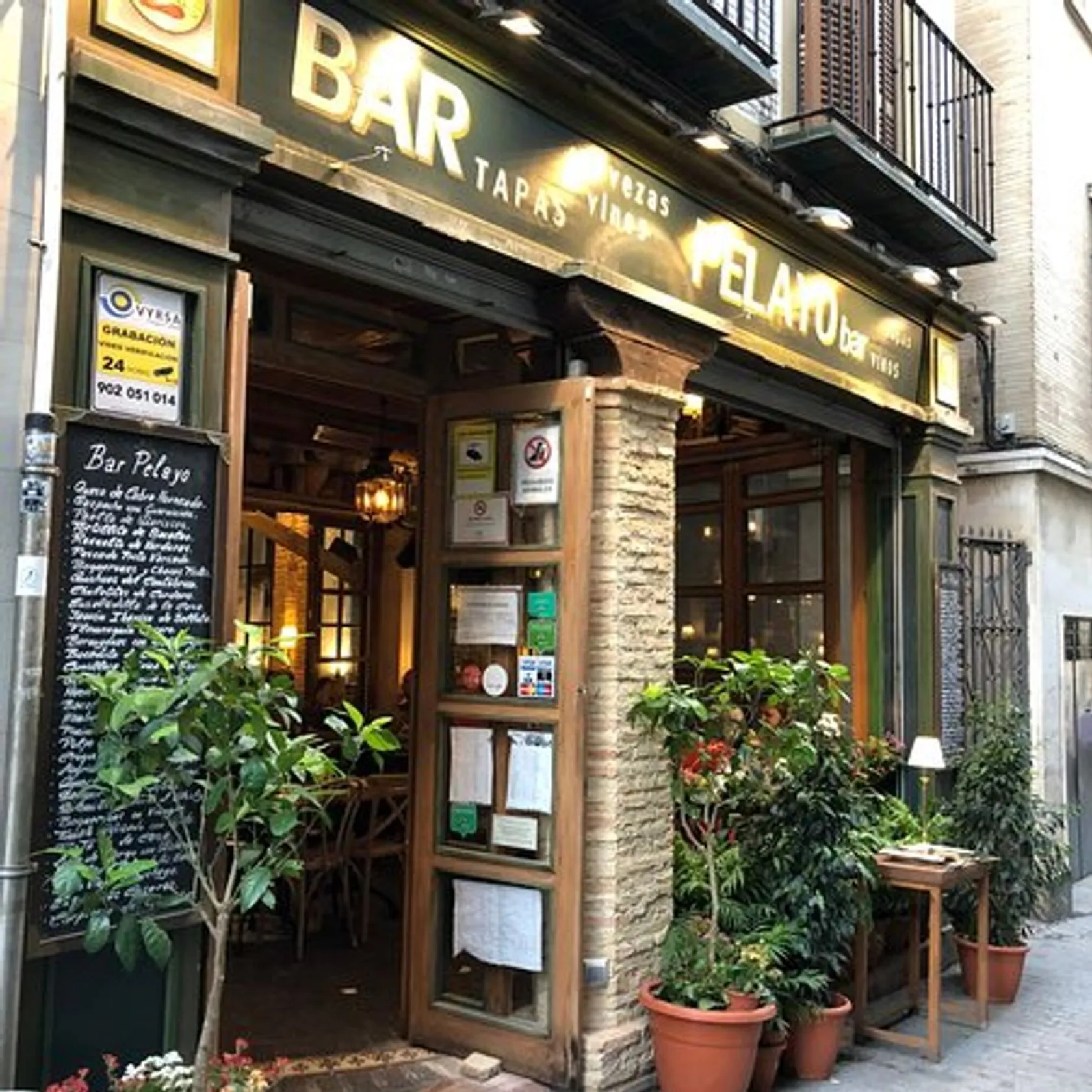 Bar pelayo