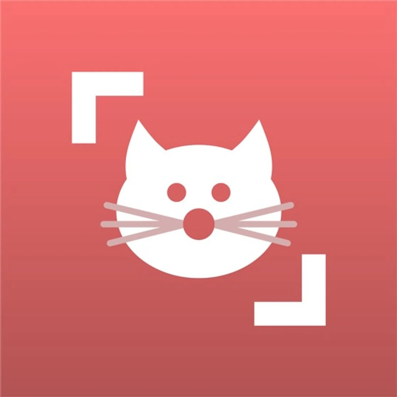 Cat Scanner