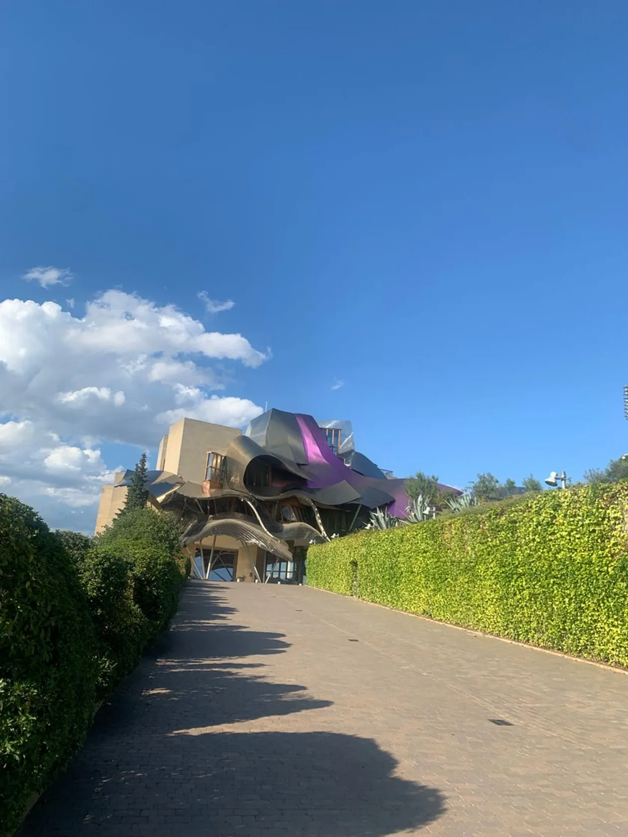 Bodegas de los Herederos del Marqués de Riscal S.L.