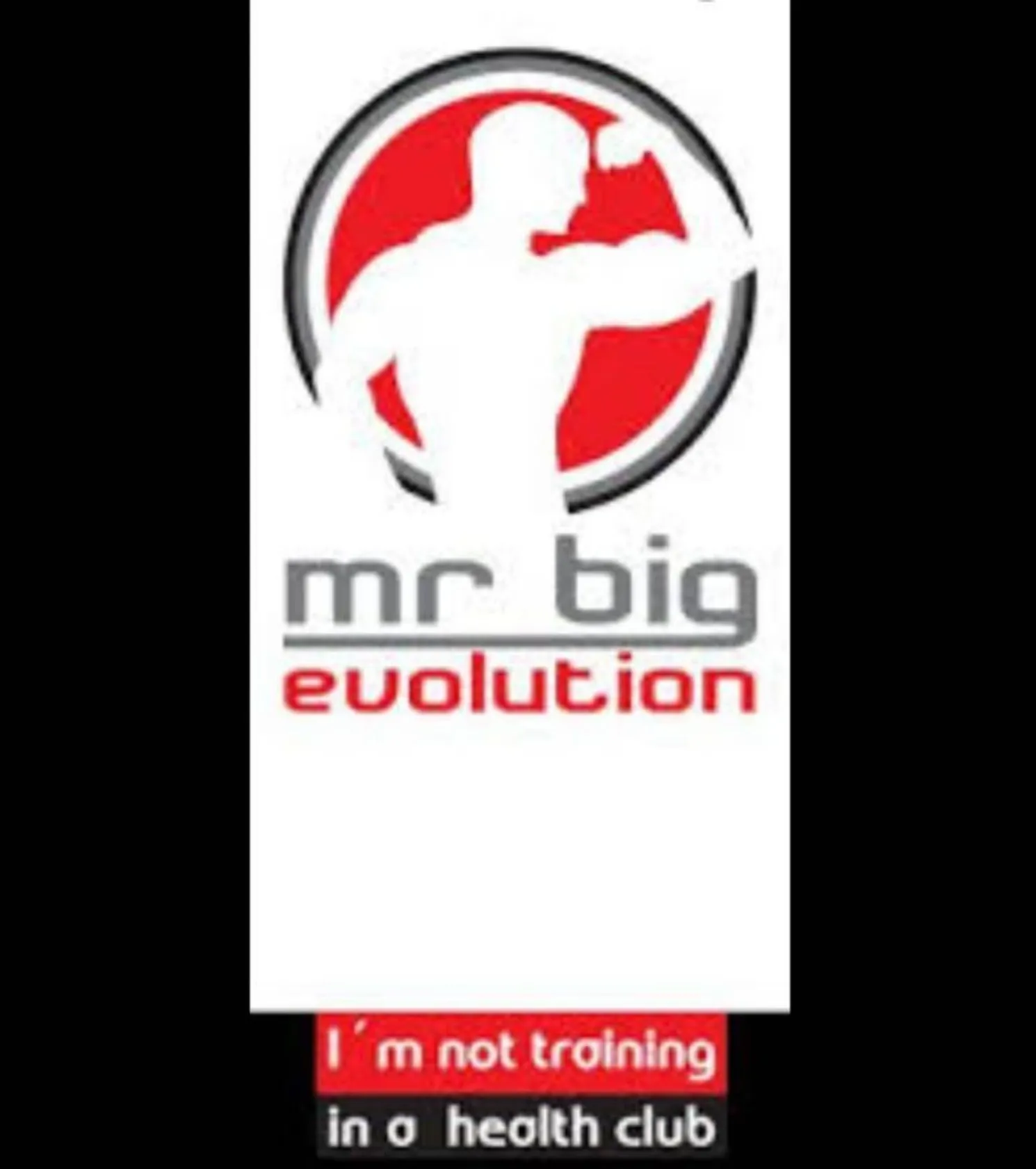 Mr. Big Evolution