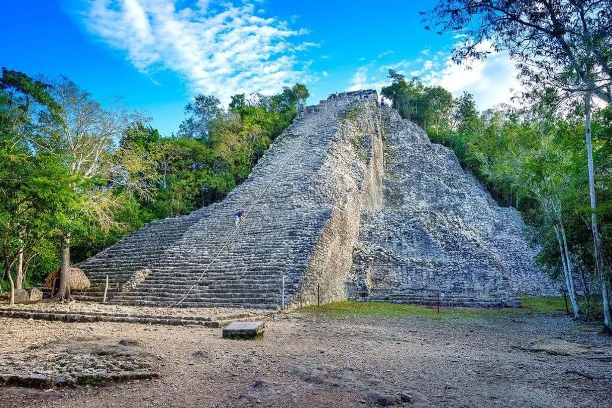 Cobá