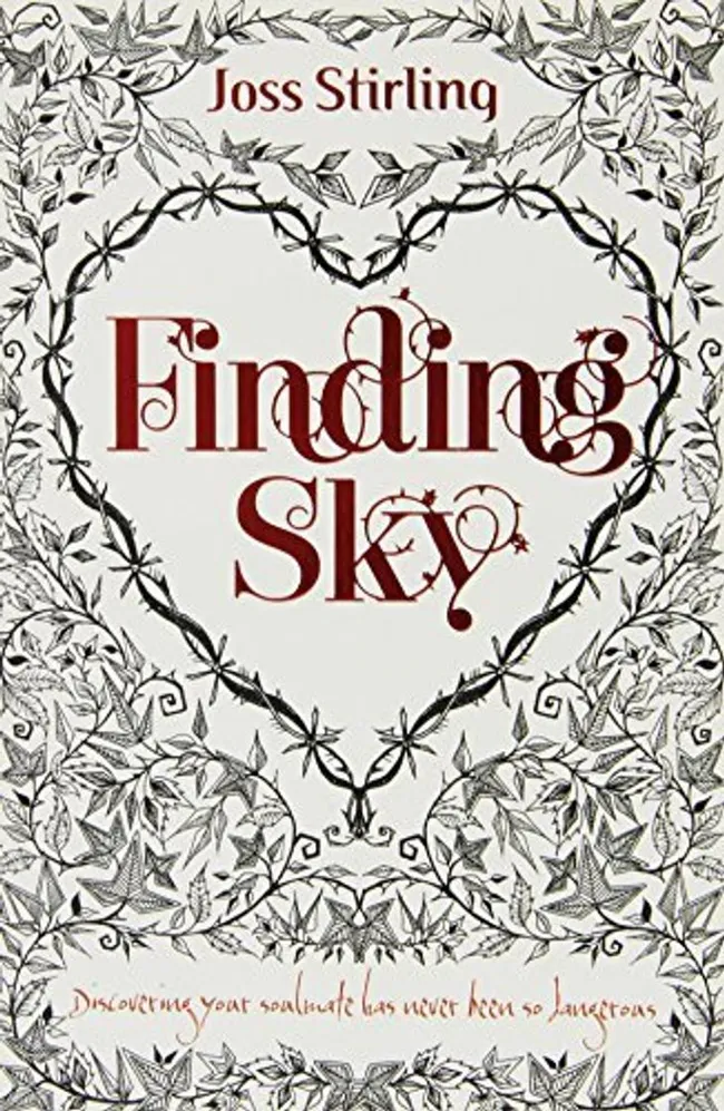 Finding Sky