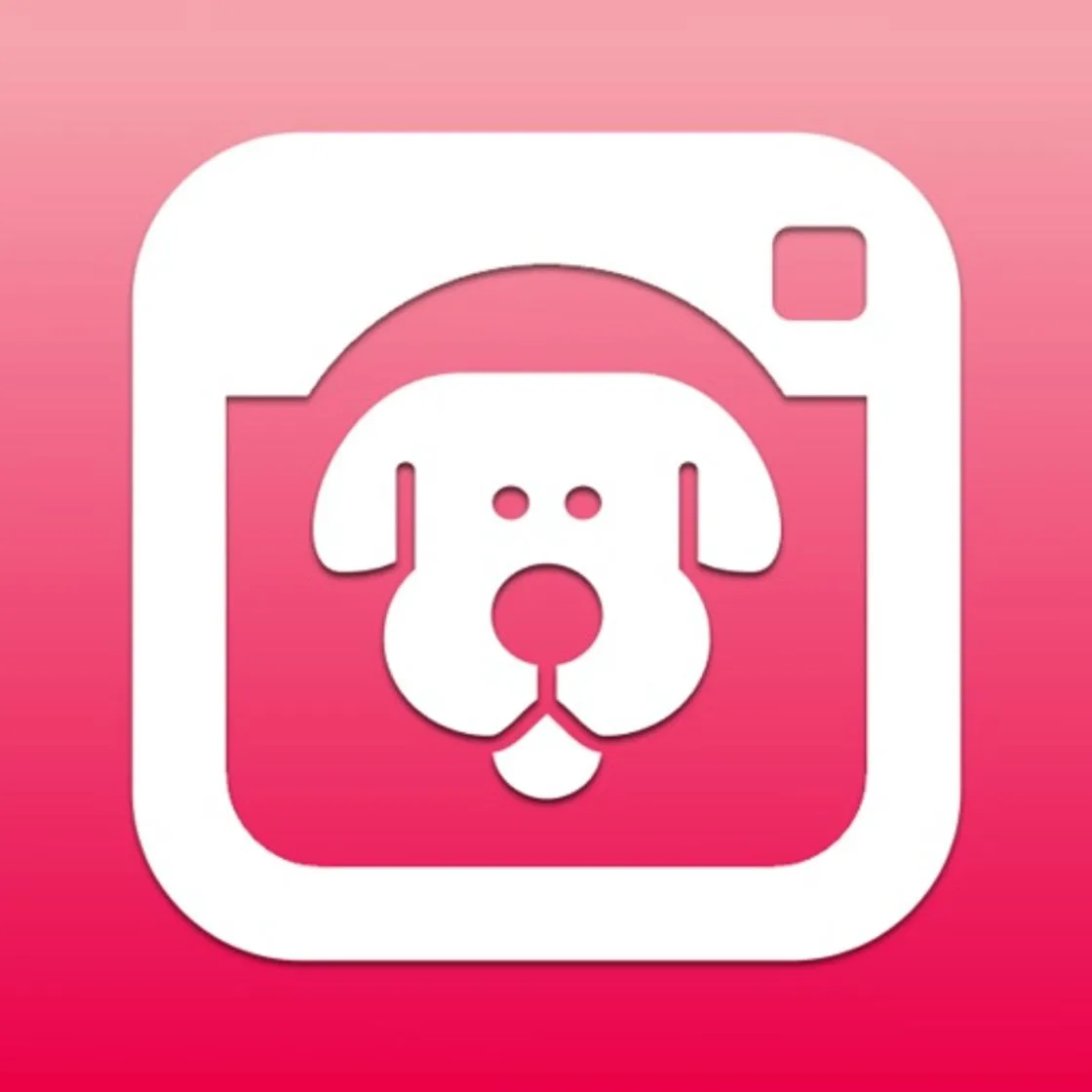 DogCam - Dog Selfie Camera