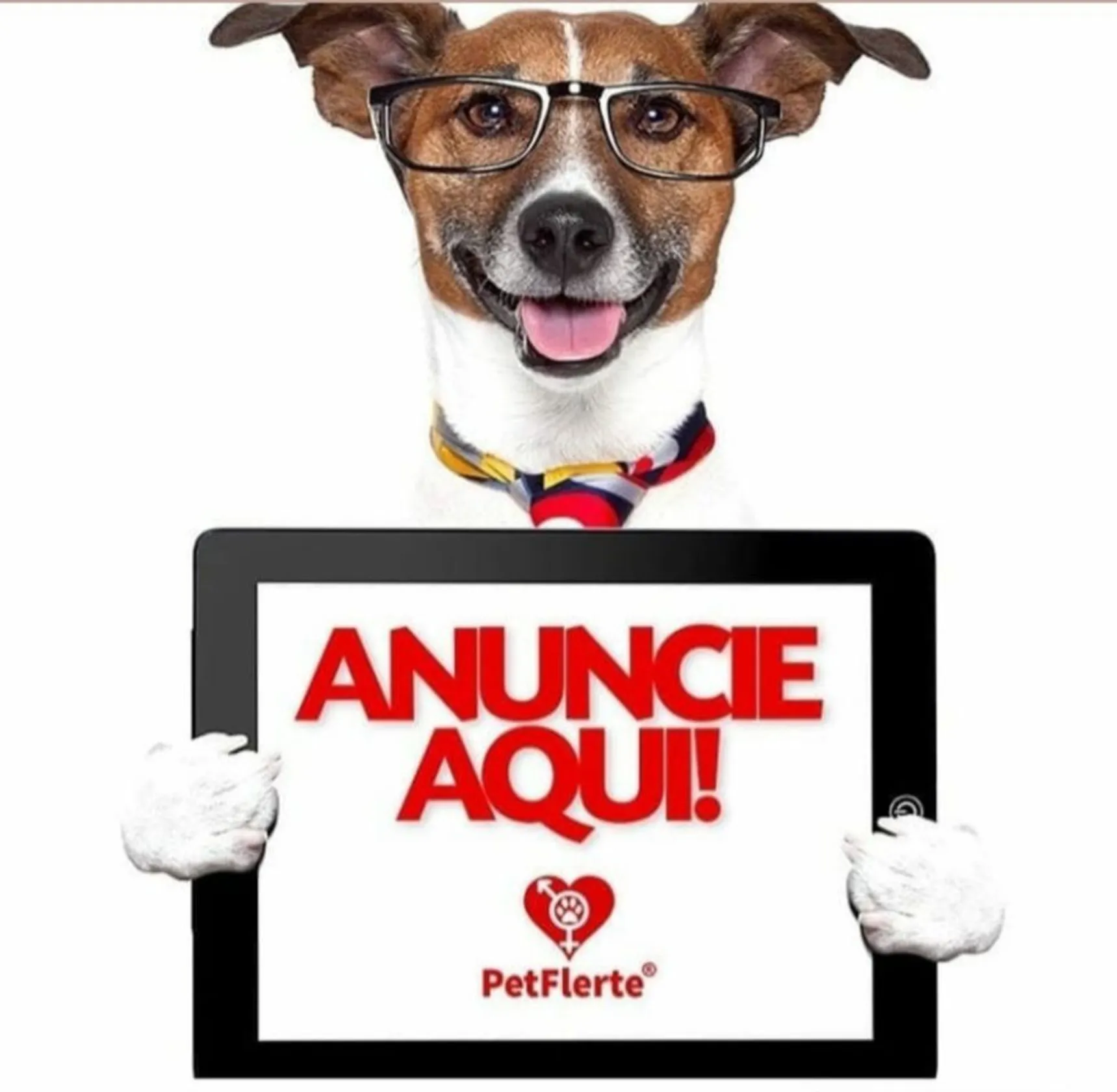 PetFlerte