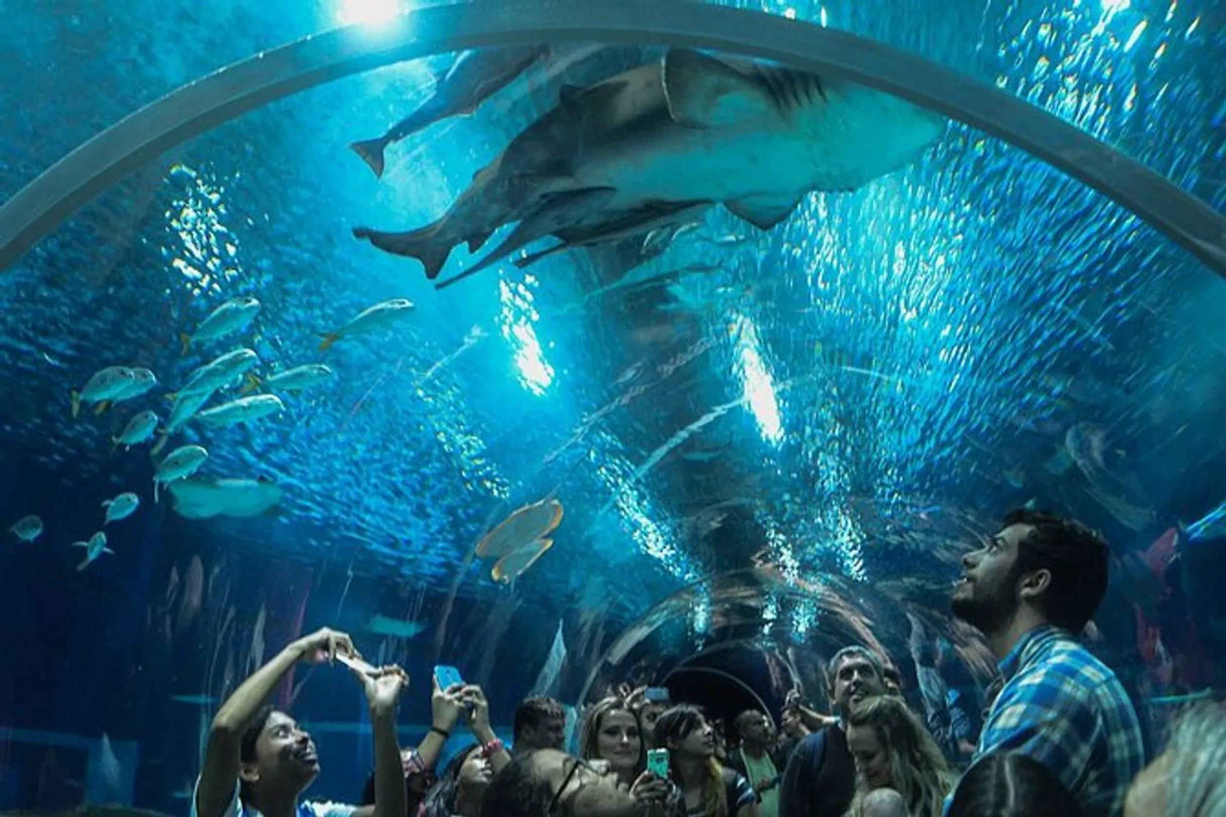 Aquário Marinho do Rio de Janeiro