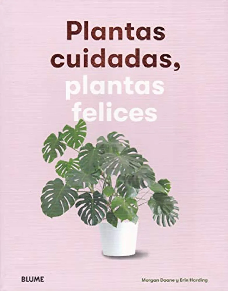 Plantas Cuidadas