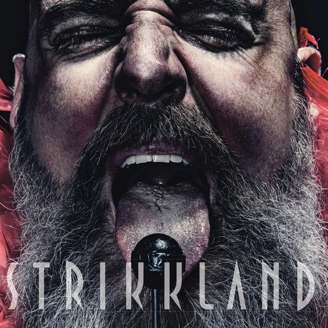 Svenskt Hat