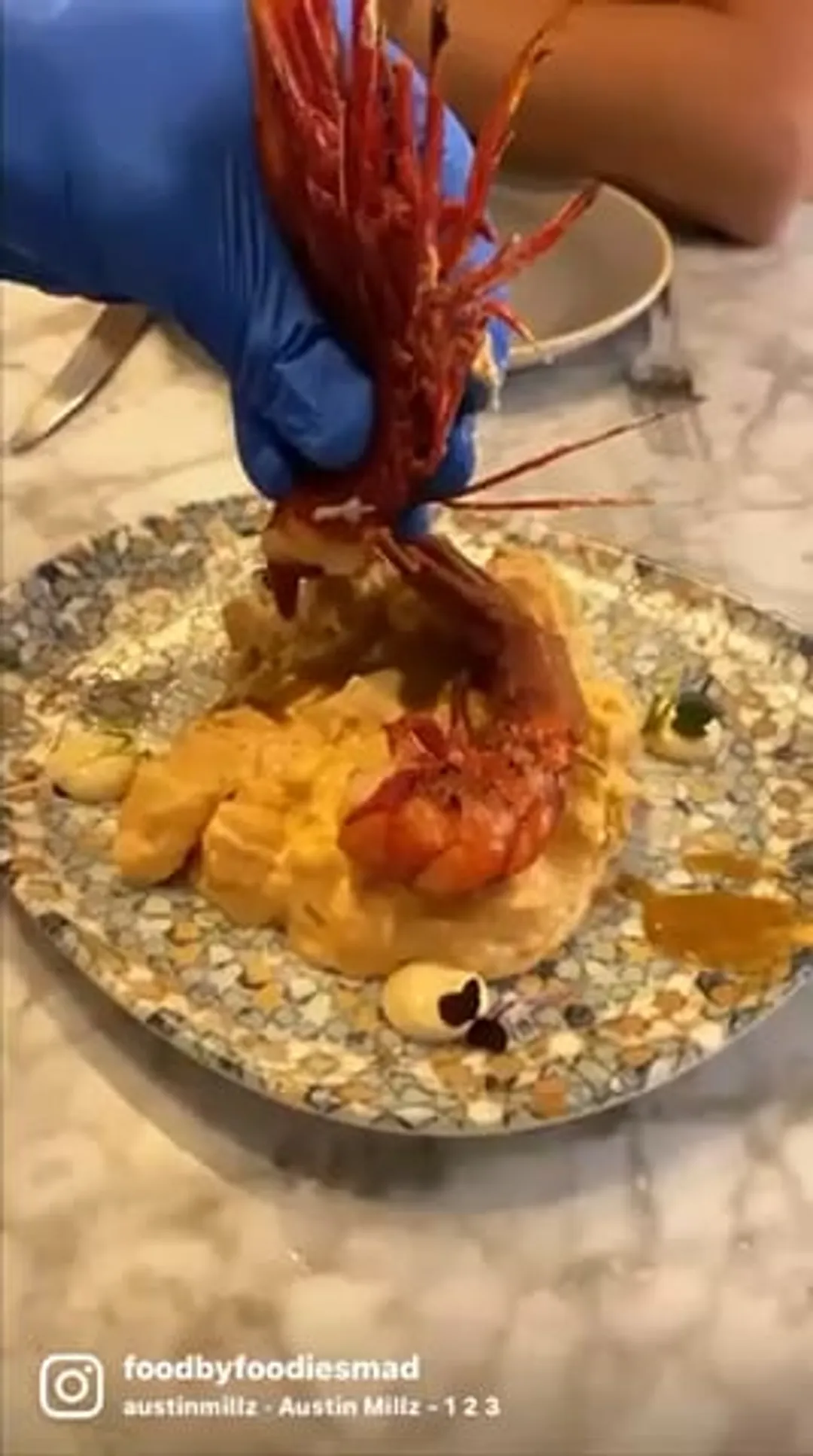 PAPATINTE