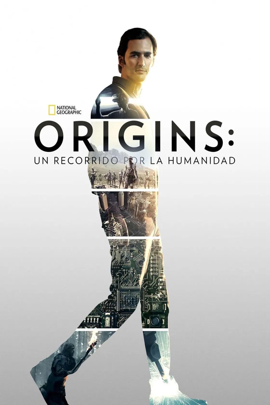Origens: A Evolução Humana