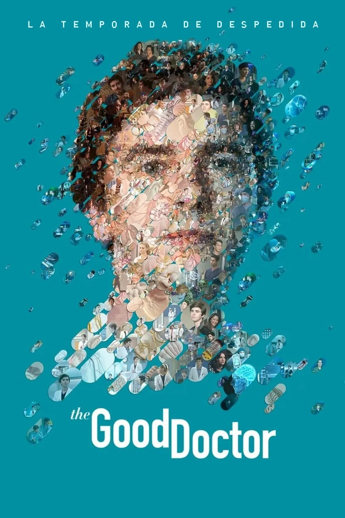 The Good Doctor: O Bom Doutor
