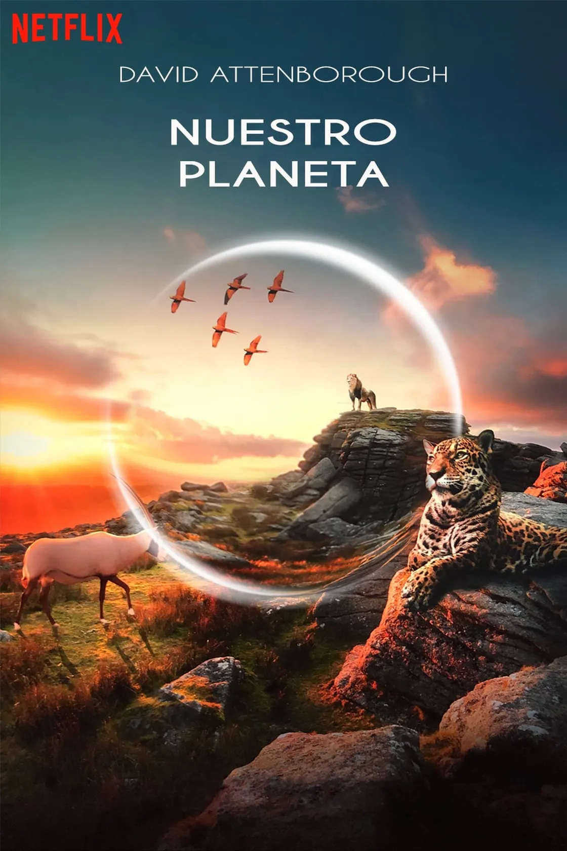 Nuestro planeta